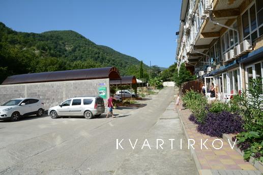 2-х комн, квартира-апартаменты посуточно, Сочи - квартира посуточно