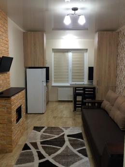 Own VIP studio in the center, Kharkiv - apartment by the day