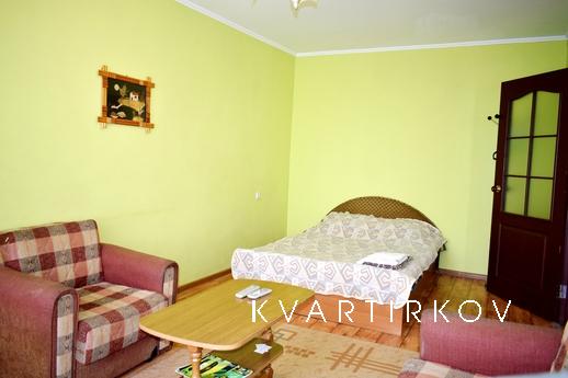 Nice budget 1 bedroom apartment., Rivne - apartment by the day