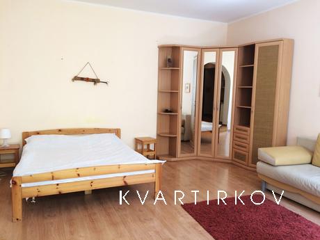 Studio apartment in the center of Kiev with a European-style