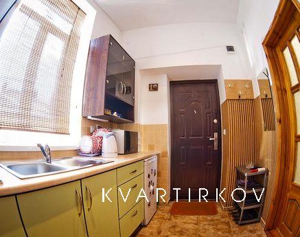 1 кімнатна квартира в центральній частин, Львів - квартира подобово