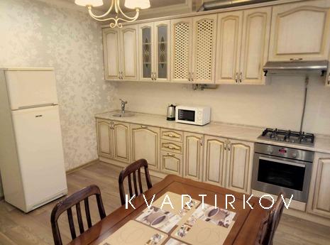 Luxury apartment for daily rent in Uzhho, Uzhhorod - apartment by the day