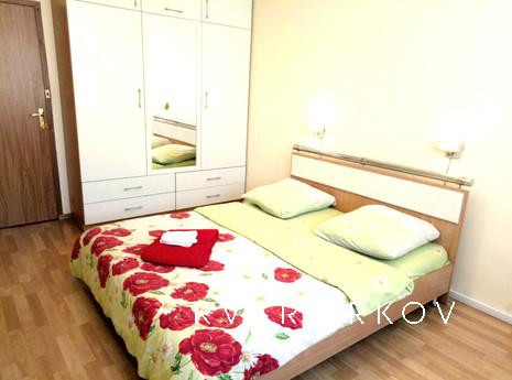 Cozy 2-room apartment for daily rent in, Uzhhorod - apartment by the day