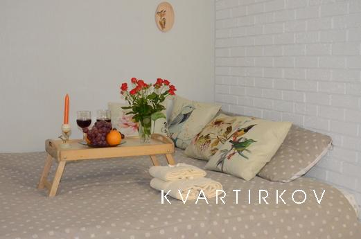Very bright, warm (in winter) apartment after major repairs,