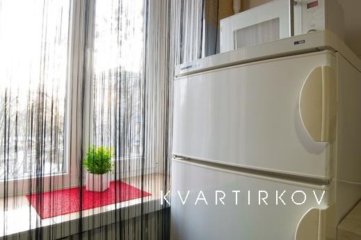 1BR renovation air conditioning, Kharkiv - apartment by the day