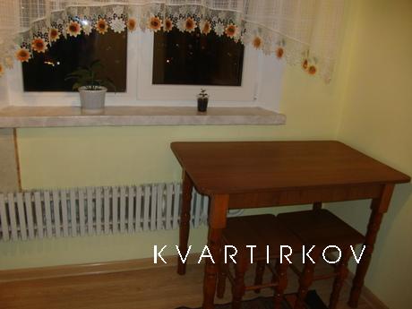 1BR APARTEMENT DAILY RENT RENOVATED, Chernivtsi - apartment by the day