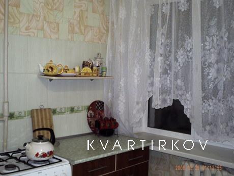 Clean and cozy apartment, Dnipro (Dnipropetrovsk) - apartment by the day