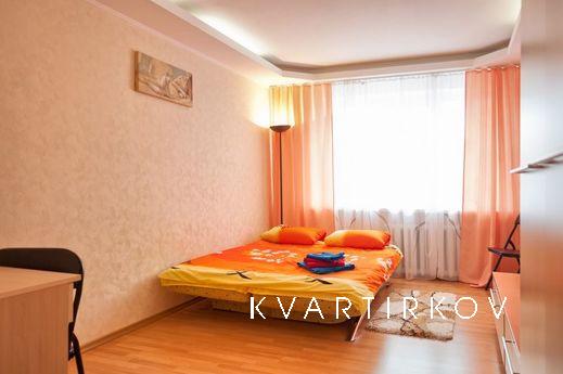 Excellent apartment with a fresh renovated, plasma, internet