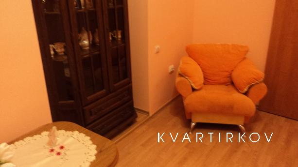 VIP apartment. Old historic center, Uzhhorod - apartment by the day