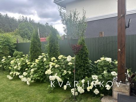 Дом под Киевом посуточно, Ранчо, в лесу, Макаров - квартира посуточно