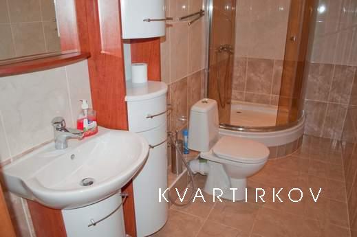 Very comfortable apartment in the center, Kyiv - apartment by the day