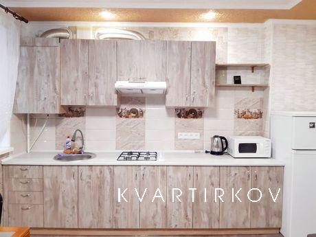 Luxury apartment in downtown daily rent, Kropyvnytskyi (Kirovohrad) - apartment by the day