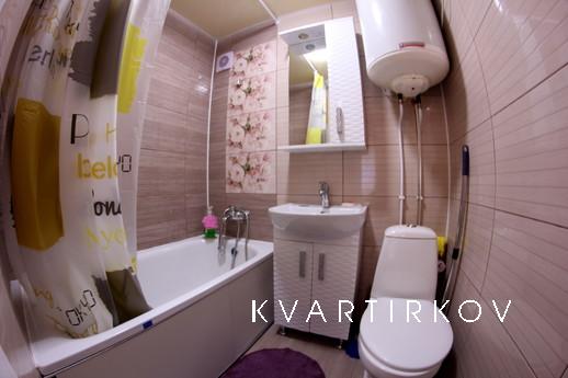 Rent 1k in the center by the day (hourly, Kropyvnytskyi (Kirovohrad) - apartment by the day
