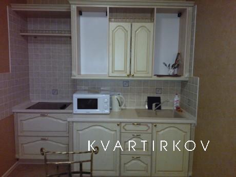 Luxury apartment for rent, Kyiv - apartment by the day