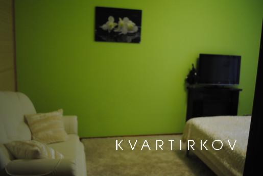 DAILY/HOURLY  RENT .OWNER, Kyiv - apartment by the day