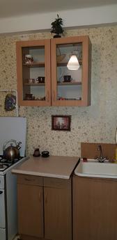 Apartement for daily rent  Pechersk, Kyiv - apartment by the day