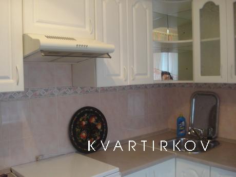 2BR  renovated apartment, Kyiv - apartment by the day