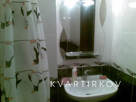 Daily, hourly 1 bedroom apartment m.Pech, Kyiv - apartment by the day