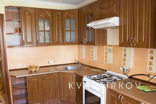 Clean apartment near the center of, Vinnytsia - apartment by the day