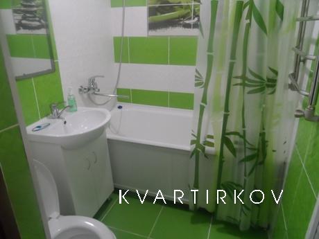 SHORT hourly 2 bedroom flat, Kropyvnytskyi (Kirovohrad) - apartment by the day