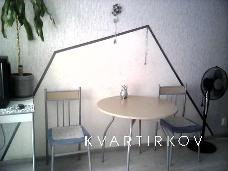 м. Васильківська, студіо, Kyiv - apartment by the day