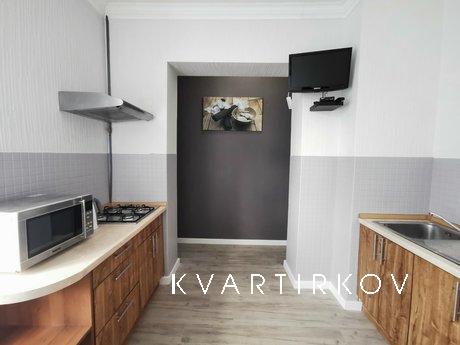 Apartment near Sports Palace, Kyiv - apartment by the day