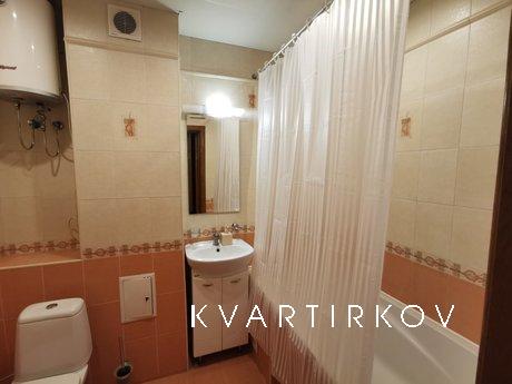 Apartment near Sports Palace, Kyiv - apartment by the day