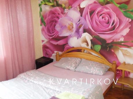 daily, hourly luxury flat. Wi-Fi, Zhytomyr - apartment by the day