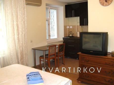 Comfortable and cozy Studio apartment, Zhytomyr - apartment by the day