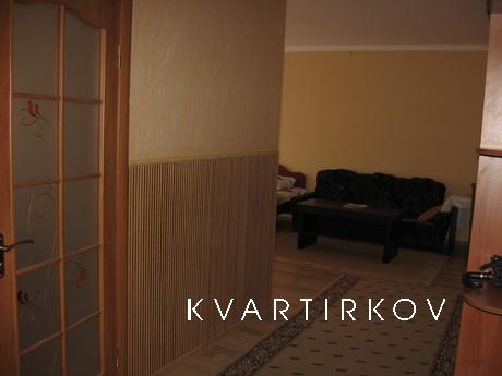 One bedroom VIP apartment in the center of Truskavets room a