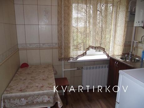 One bedroom apartment in the center, Truskavets - apartment by the day