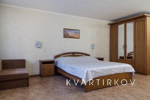Gorgeous studio in downtown, Mykolaiv - apartment by the day