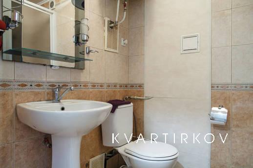 Gorgeous studio in downtown, Mykolaiv - apartment by the day