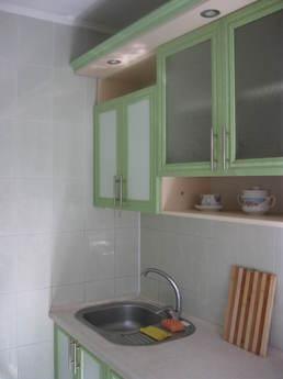their rent 1k / renovation to the Center, Mykolaiv - apartment by the day