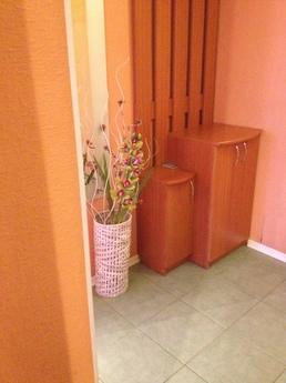 2 room apartment near a subway, Kyiv - apartment by the day