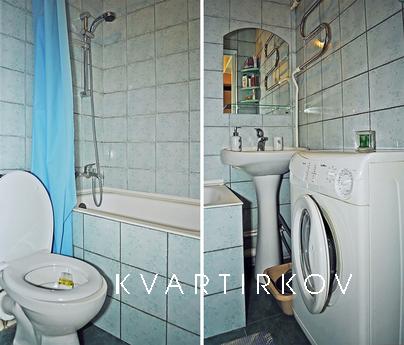 studio, newly renovated, Kyiv - apartment by the day