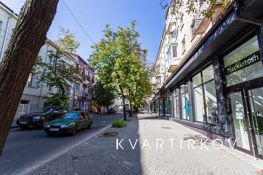 Center. Ostrozky, Ternopil - apartment by the day