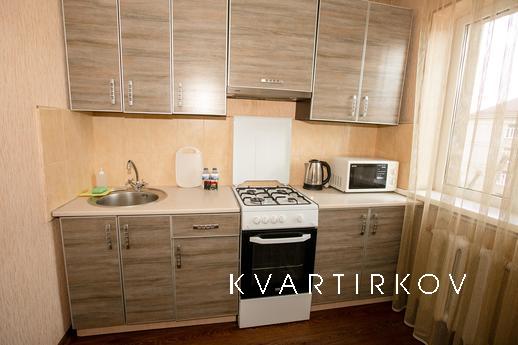 Cozy 1 bedroom apartment for rent., Krivoy Rog - apartment by the day