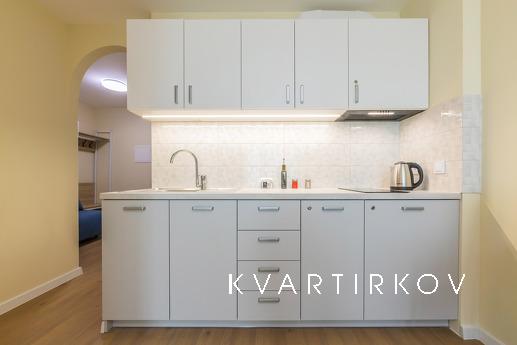 Vidova one-room apartment on Okruzhny, Kyiv - apartment by the day