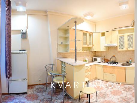 Apartment near the Opera  up to 6 people, Lviv - apartment by the day