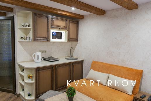 Disigner apartment on the Squre Rynok, Lviv - apartment by the day
