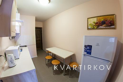 The apartment is newly renovated for 6 p, Lviv - apartment by the day