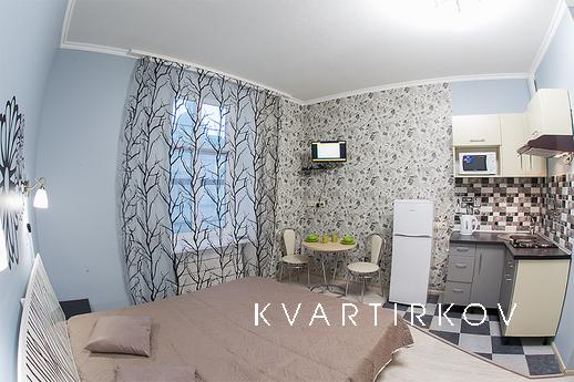 Modern apartment in the center, Lviv - apartment by the day