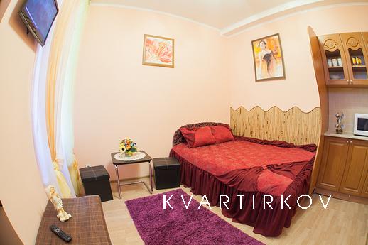 Daily rent apartment - studio is newly renovated street. She