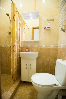 Сучасна квартира у Львові, Львов - квартира посуточно