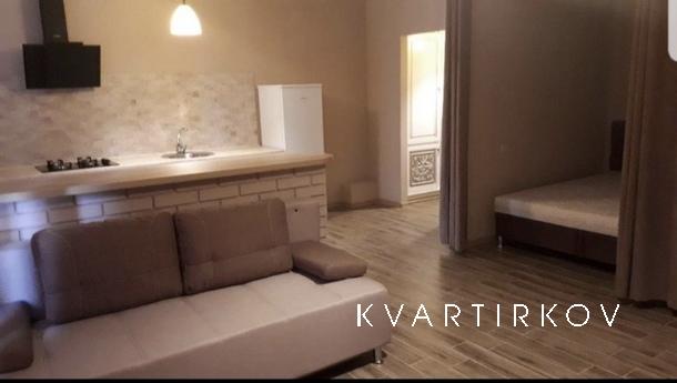 Rent an apartment Studio River Couple, Dnipro (Dnipropetrovsk) - apartment by the day