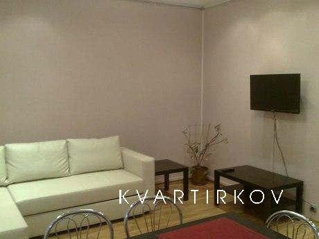 Beautiful apartment in the center, Saint Petersburg - apartment by the day