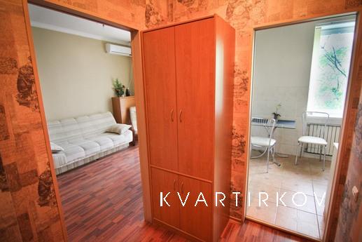 Cozy apartment in the center with Wi-Fi., Dnipro (Dnipropetrovsk) - apartment by the day