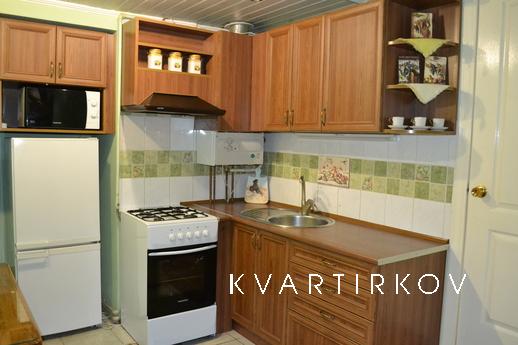 Nice apartment in the center, Lviv - apartment by the day