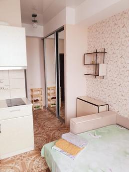 1 to. Studio South Station, Kharkiv - apartment by the day
